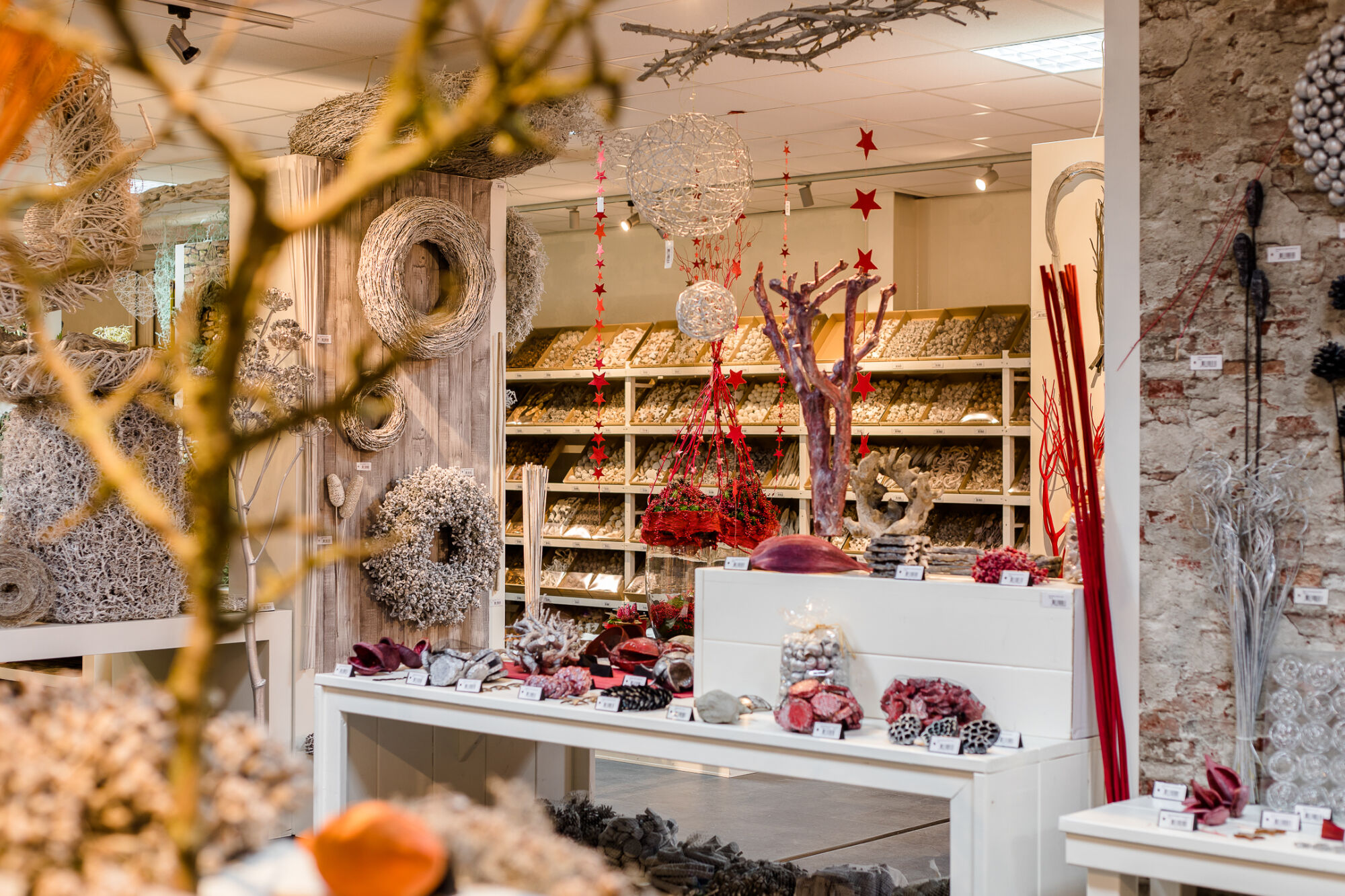 Samenwerking met Lino | Berkman Forwarding